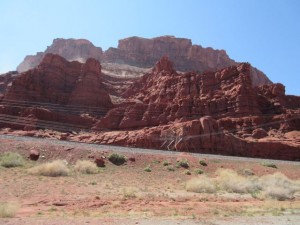 IMG_0875