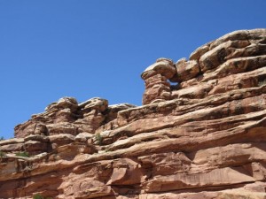 IMG_0892