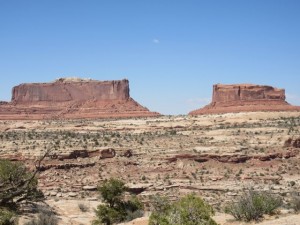 IMG_0893