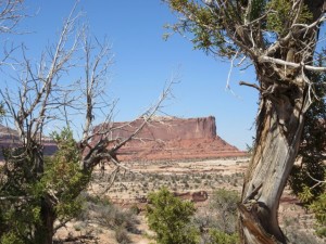 IMG_0894