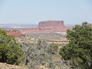 IMG_0914