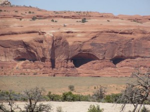 IMG_0915