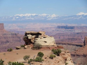 IMG_0935