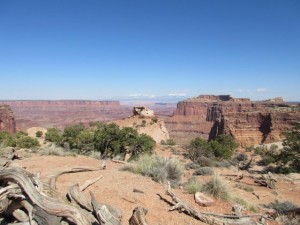 IMG_0936
