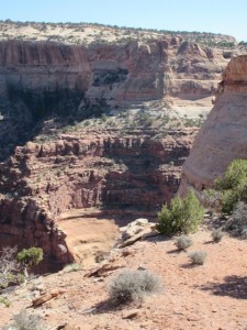 IMG_0941
