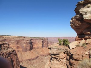 IMG_0943
