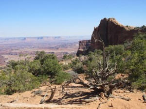 IMG_0947
