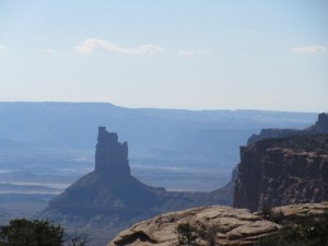 IMG_0981