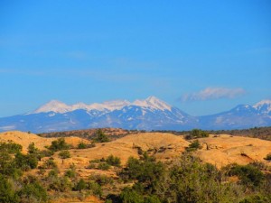 IMG_1012