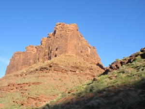 IMG_1054