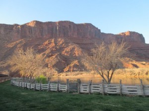 IMG_1086