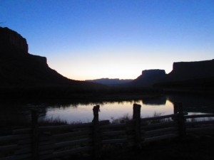 IMG_1110