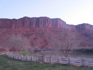 IMG_1111