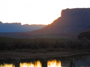 IMG_1141