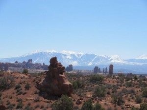 IMG_1311