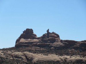 IMG_1316