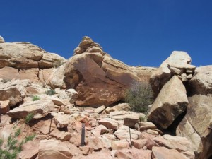 IMG_1408