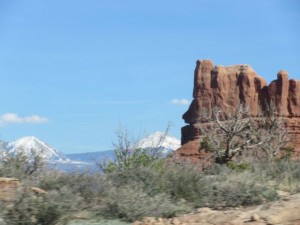 IMG_1511