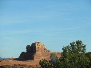 IMG_1547