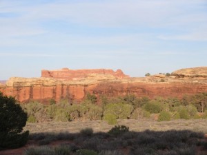 IMG_1555