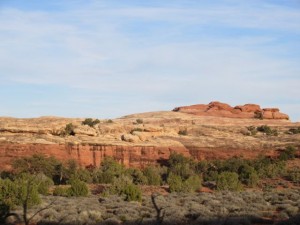 IMG_1556