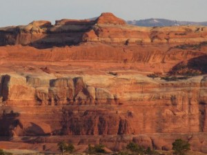 IMG_1567