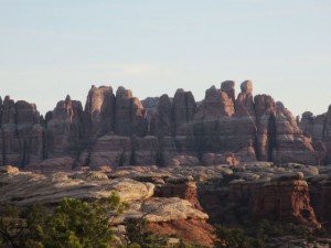 IMG_1573