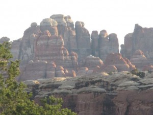 IMG_1579
