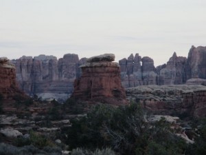 IMG_1628