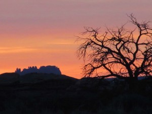 IMG_1632