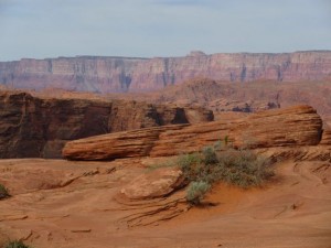 IMG_1673