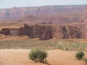 IMG_1679