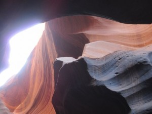 IMG_1737