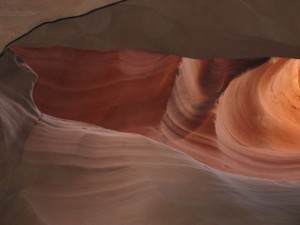 IMG_1820