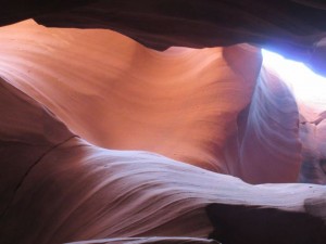IMG_1824