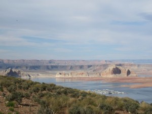 IMG_1871