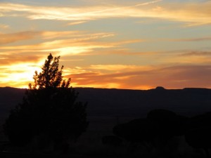 IMG_1885