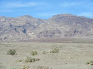 IMG_1967