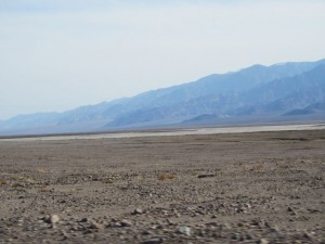 IMG_1979