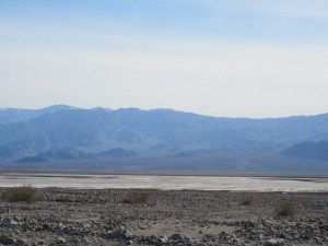 IMG_1981