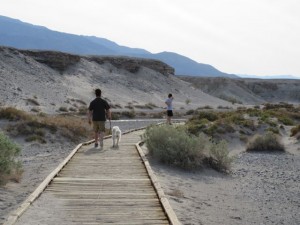 IMG_1989