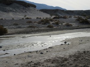 IMG_1994