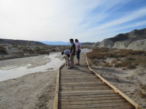 IMG_1995