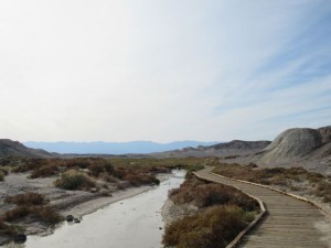 IMG_2002