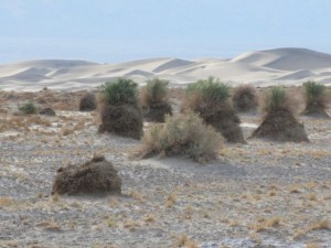 IMG_2015