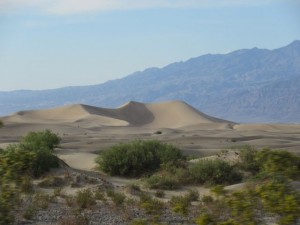 IMG_2020