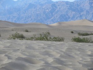 IMG_2030