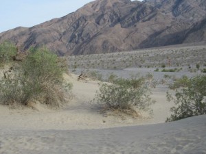 IMG_2031