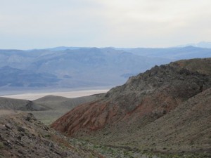 IMG_2043