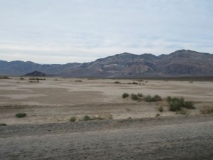 IMG_2065
